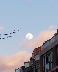 Full Moon in Toronto